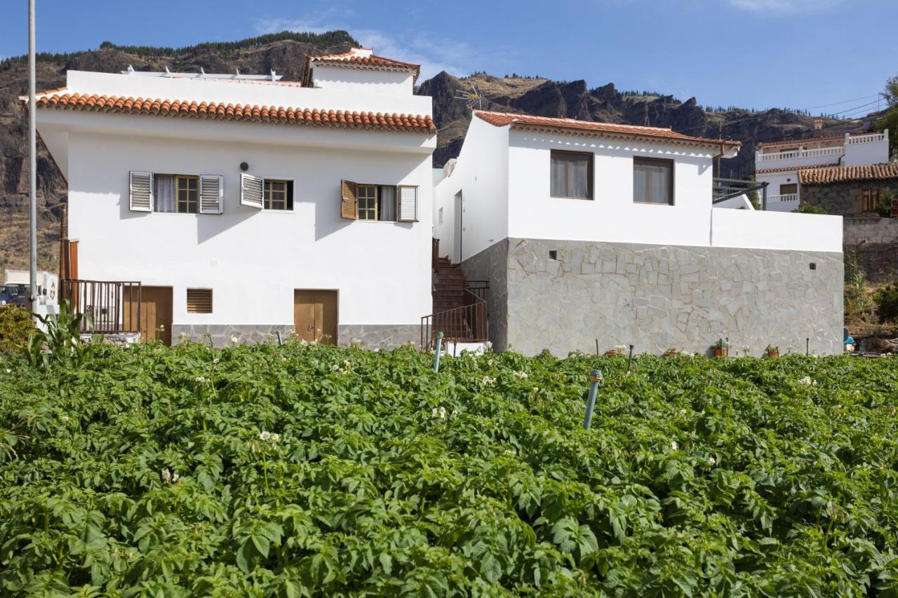 Apartament Casa Maria With Roque Nublo View Tejeda  Zewnętrze zdjęcie